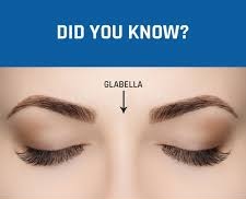 The Space Between Your Eyebrows: Unlocking the Secrets of Your “Third Eye” Glabella