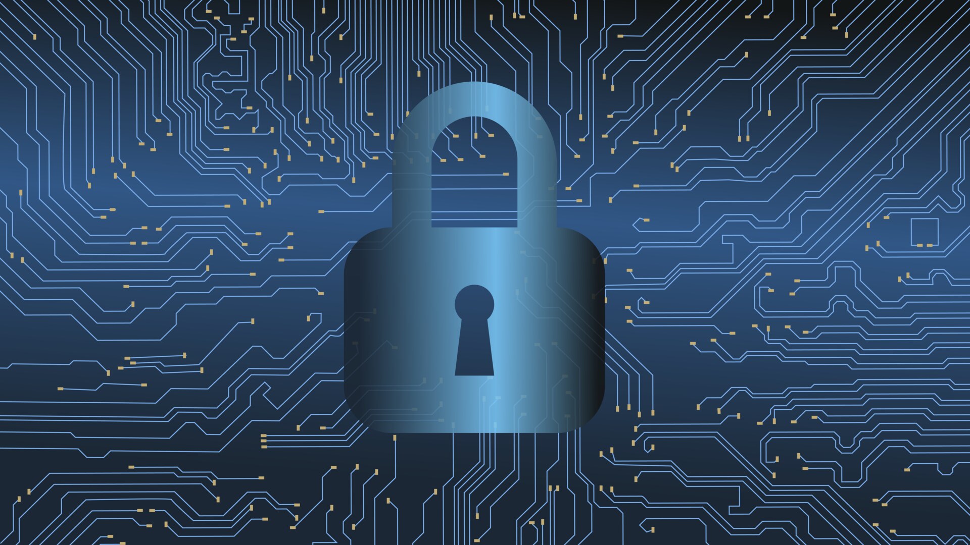 How to Check If Your Email Was in a Data Breach and What to Do Next