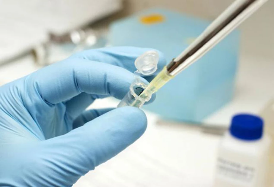 Kenya’s Vaccine Breakthrough: Local Production Trials by 2027 